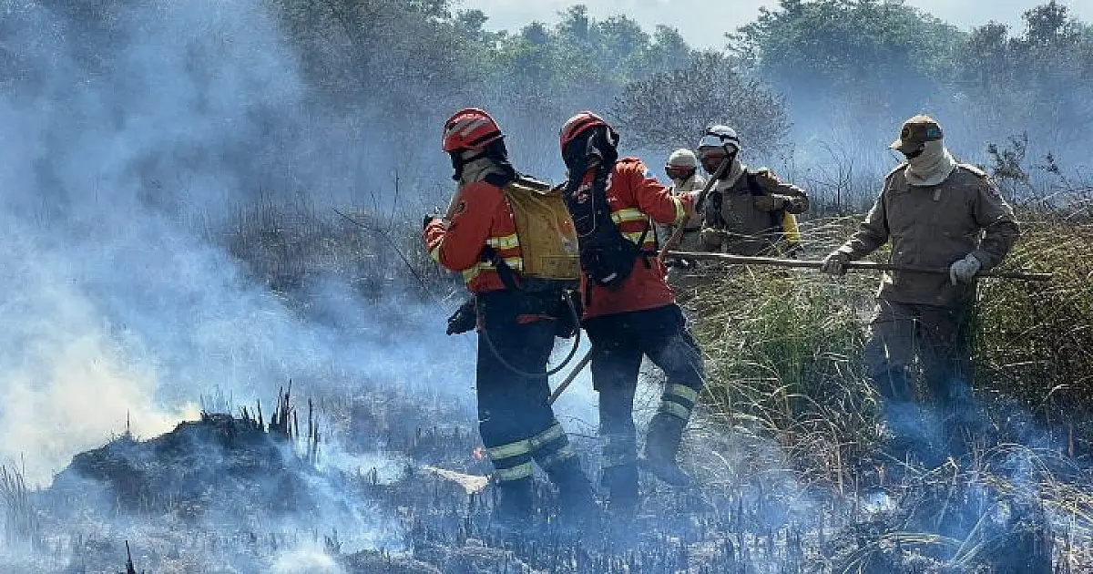 Bombeiros controlam incêndio florestal em Bonito e continuam em monitoramento na região
