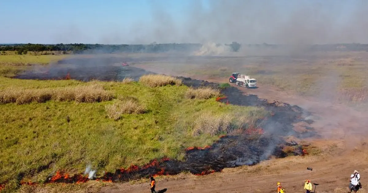 Bombeiros atuam contra 11 focos ativos de incêndio no Pantanal