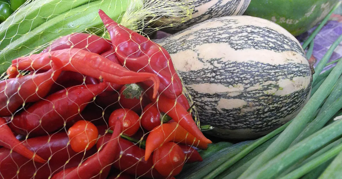Corumbá recebe "Feira de Produtos em Transição Agroecológica" nesta quarta-feira