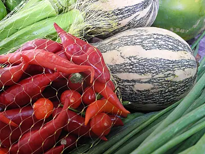 Corumbá recebe "Feira de Produtos em Transição Agroecológica" nesta quarta-feira