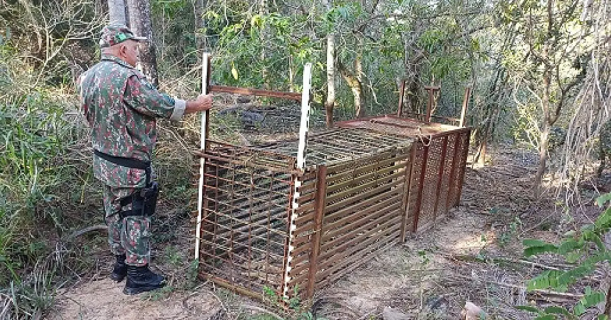 PMA apreende armadilha de caça em reserva florestal