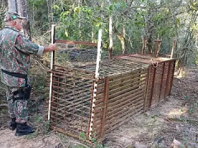 PMA apreende armadilha de caça em reserva florestal