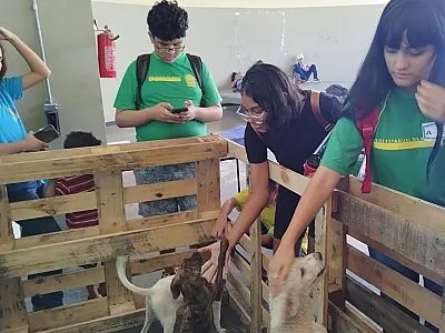 Feira de Adoção Animal da Escola Júlia Gonçalves sensibiliza comunidade pela guarda responsável