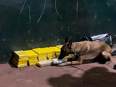 Cão farejador identifica mala abandonada com 25,5 Kg de pasta base de cocaína