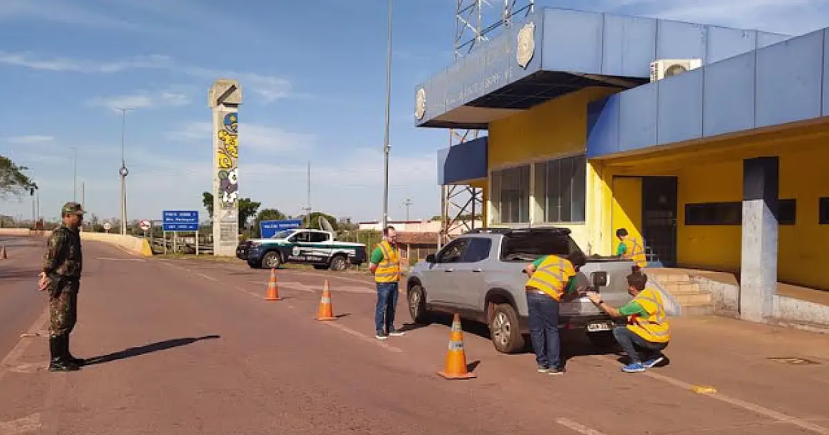 Campanha orienta motoristas para diminuir atropelamentos de animais na BR 262
