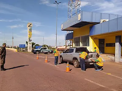 Campanha orienta motoristas para diminuir atropelamentos de animais na BR 262