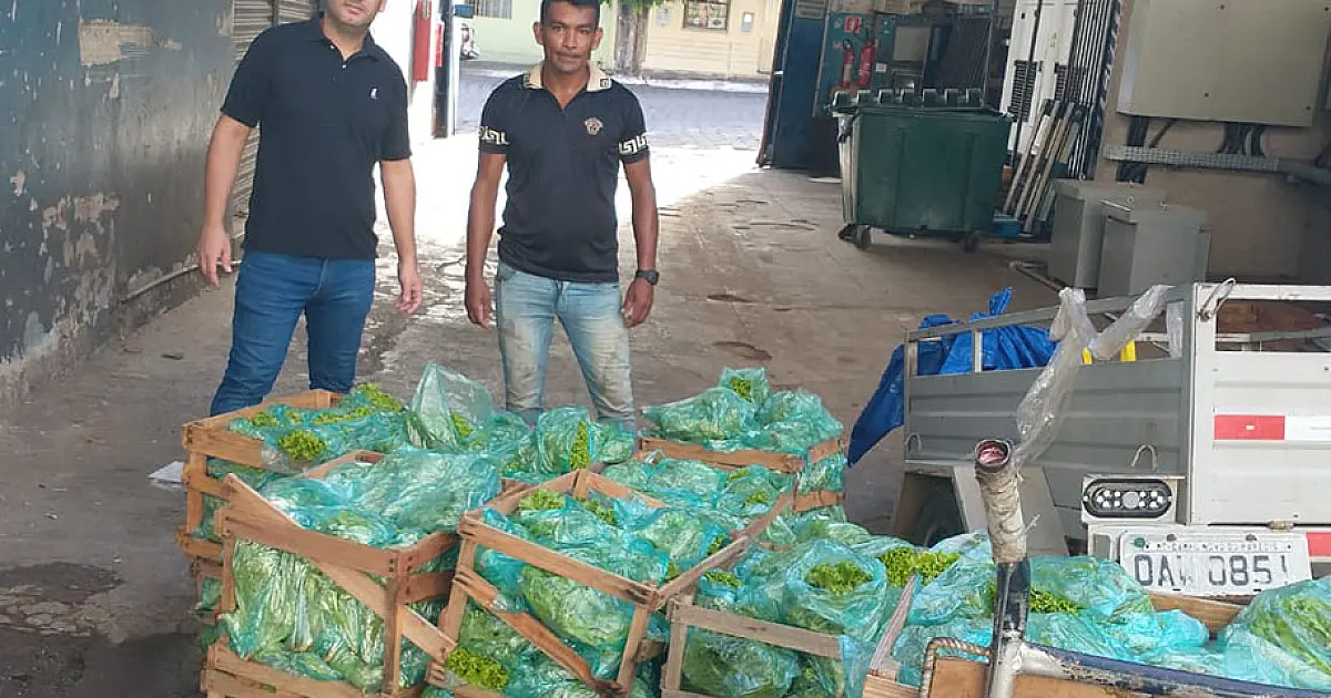 Agricultores familiares repassam produção para mercado atacadista de Corumbá