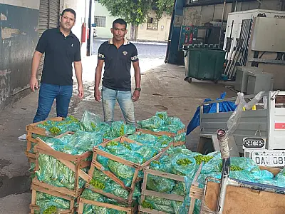 Agricultores familiares repassam produção para mercado atacadista de Corumbá