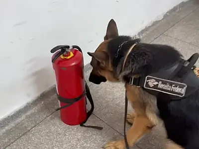 Colombiano é preso com 10kg de Skank escondidos em extintor