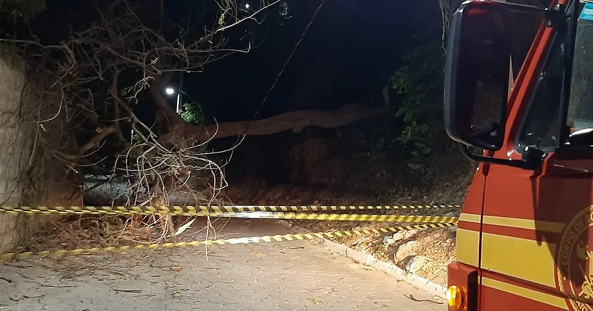 Queda de árvore atinge rede elétrica e bloqueia rua no Beira Rio