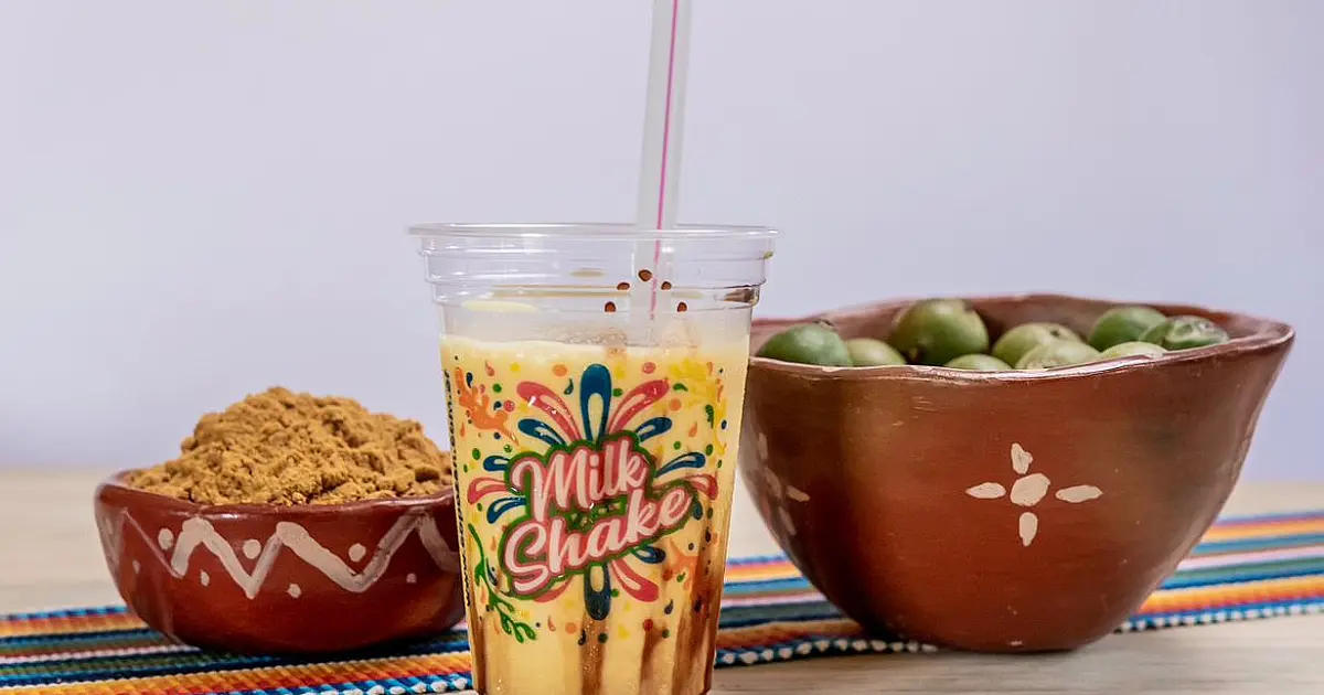 Pesquisadores da UFMS desenvolvem milk-shake de bocaiúva em pó