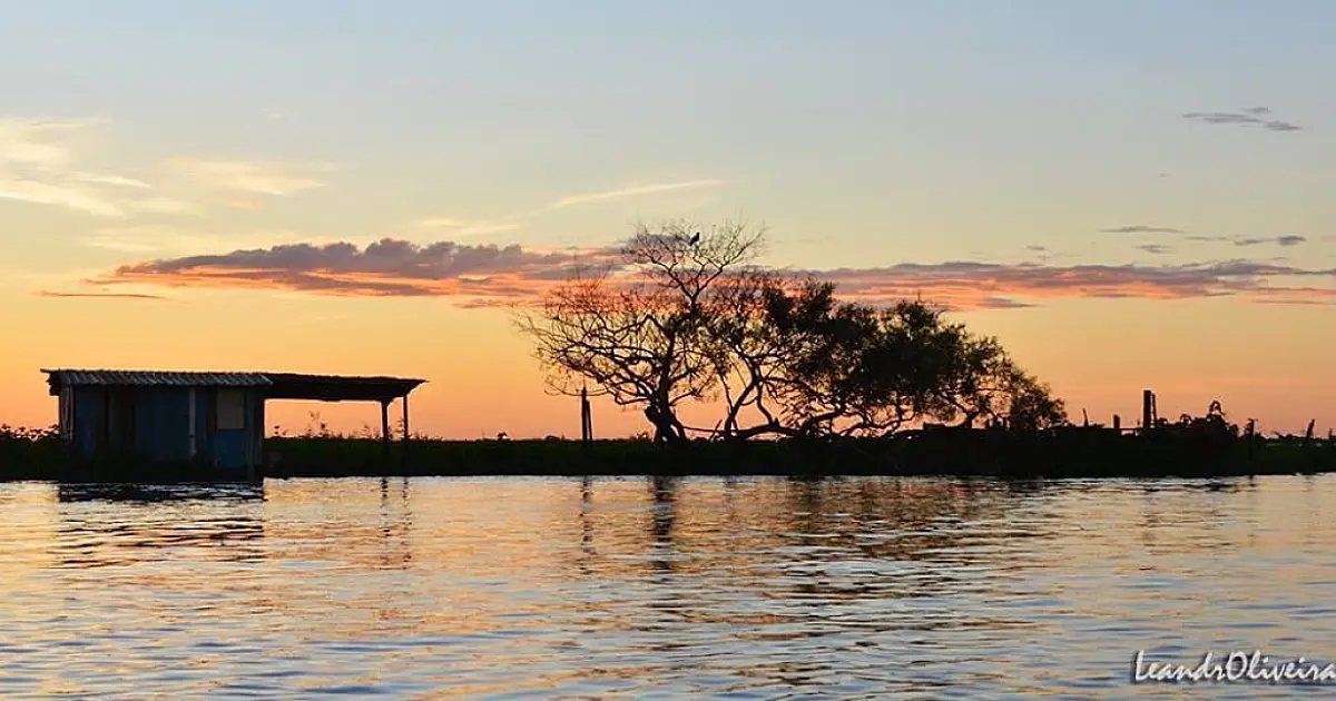 Dia do Pantanal: iniciativa trabalha para documentar e ampliar conhecimento sobre o bioma