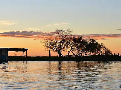 Dia do Pantanal: iniciativa trabalha para documentar e ampliar conhecimento sobre o bioma