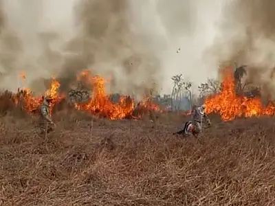 Fogo continua nas regiões do Nabileque, Jatobazinho, Serra do Amolar e Paiaguás