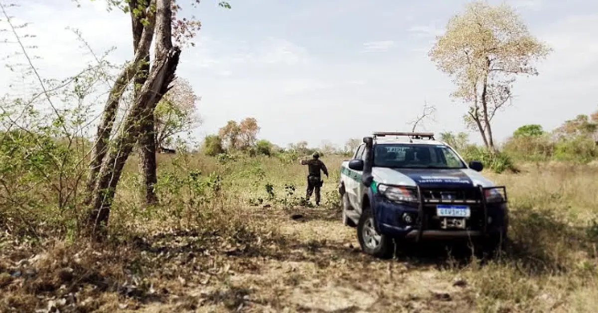 PMA multa propriedades rurais de Corumbá por supressão em áreas remanescentes de vegetação nativas