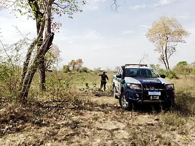PMA multa propriedades rurais de Corumbá por supressão em áreas remanescentes de vegetação nativas