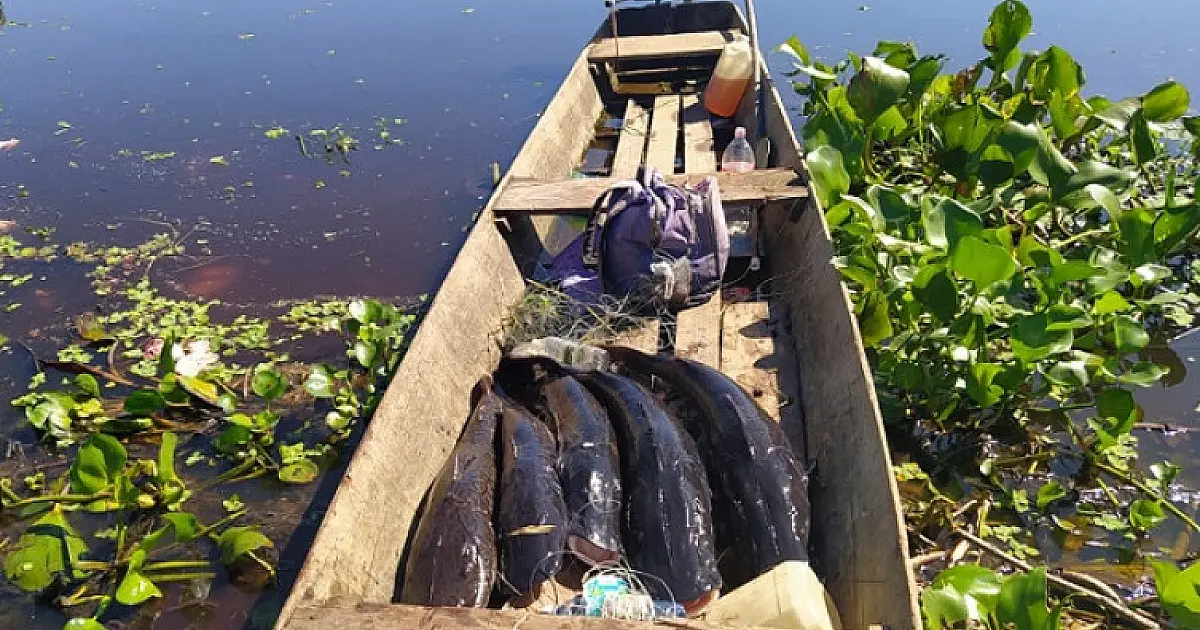Homem é flagrado em pesca com petrechos proibidos no Canal do Tamengo