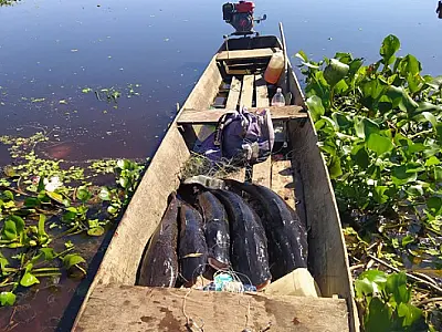 Homem é flagrado em pesca com petrechos proibidos no Canal do Tamengo