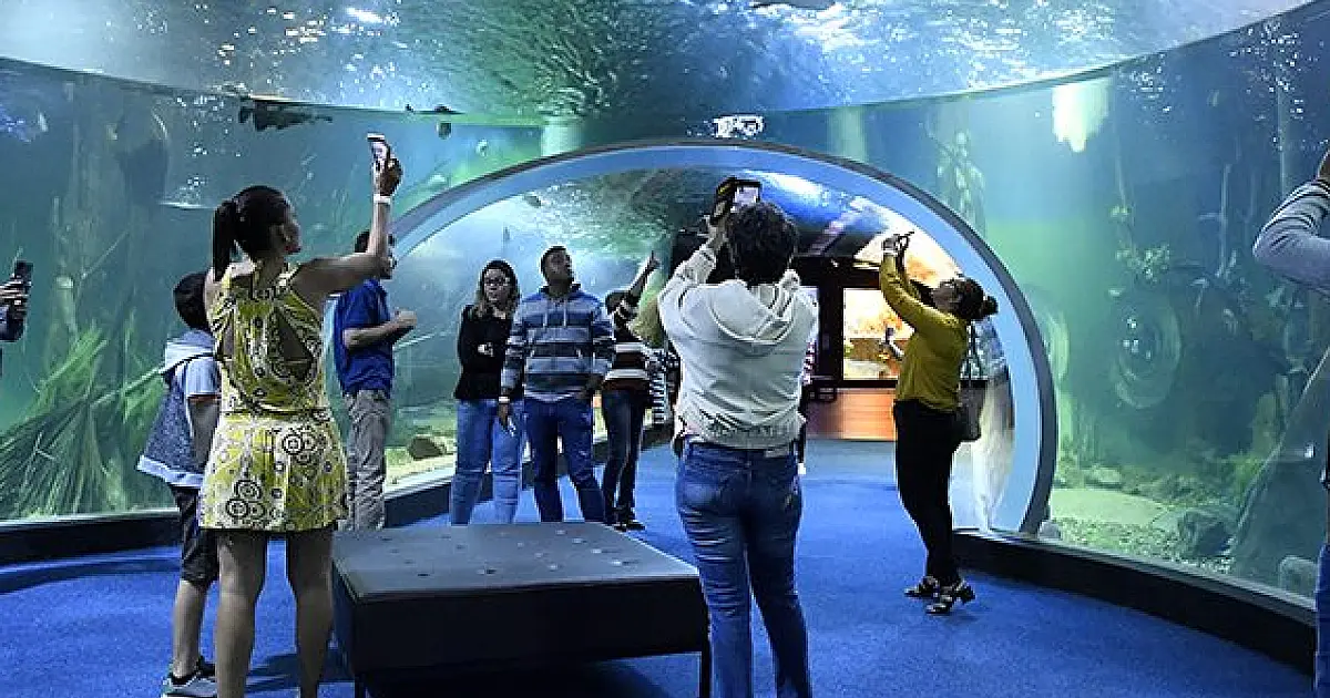 Bioparque Pantanal abre cadastro de visitas para junho na próxima segunda e amplia para 1 mil vagas