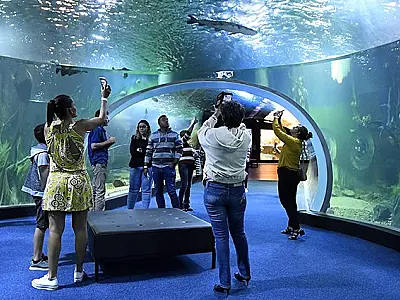 Bioparque Pantanal abre cadastro de visitas para junho na próxima segunda e amplia para 1 mil vagas
