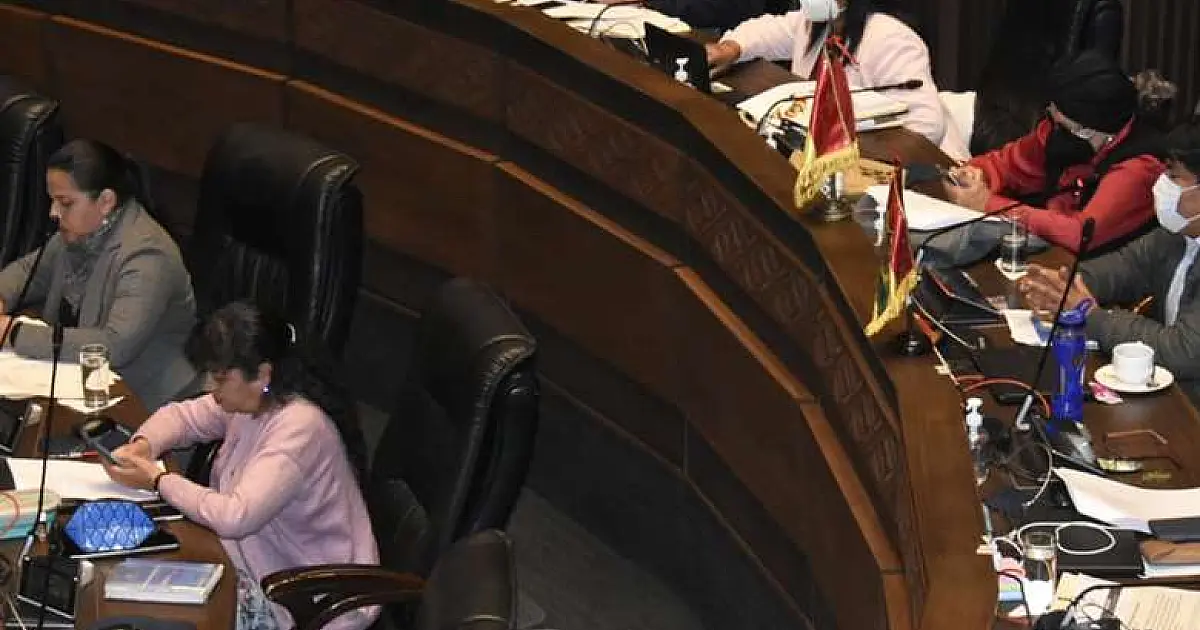 Debate para revogar Lei 1386 no Senado fica atolado na discussão sobre "segunda tentativa de golpe"