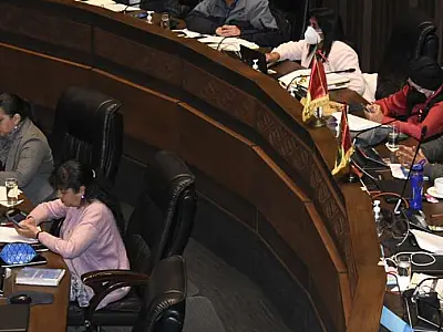 Debate para revogar Lei 1386 no Senado fica atolado na discussão sobre "segunda tentativa de golpe"