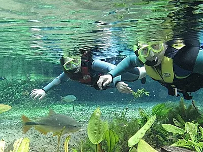 Turismo de Bonito registra melhor outubro dos últimos 7 anos