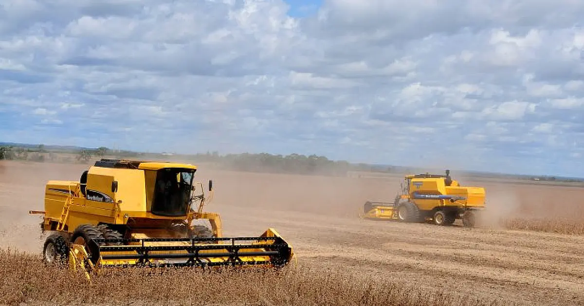 Valor Bruto da produção agropecuária em MS soma quase R$ 60 bilhões no ano