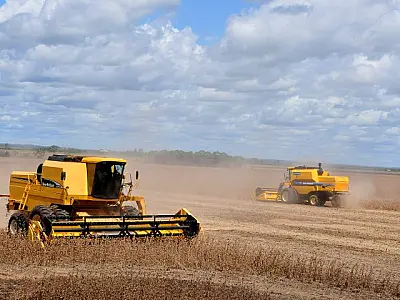 Valor Bruto da produção agropecuária em MS soma quase R$ 60 bilhões no ano