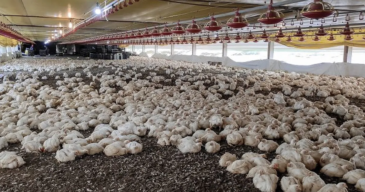 FCO aprova R$ 138,9 milhões em novos empreendimentos para MS