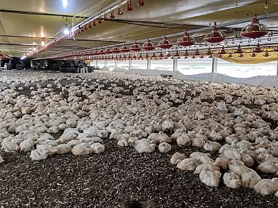 FCO aprova R$ 138,9 milhões em novos empreendimentos para MS
