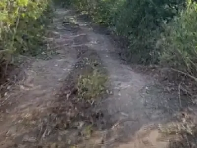 Forças de segurança desativam rota de contrabando na fronteira com a Bolívia