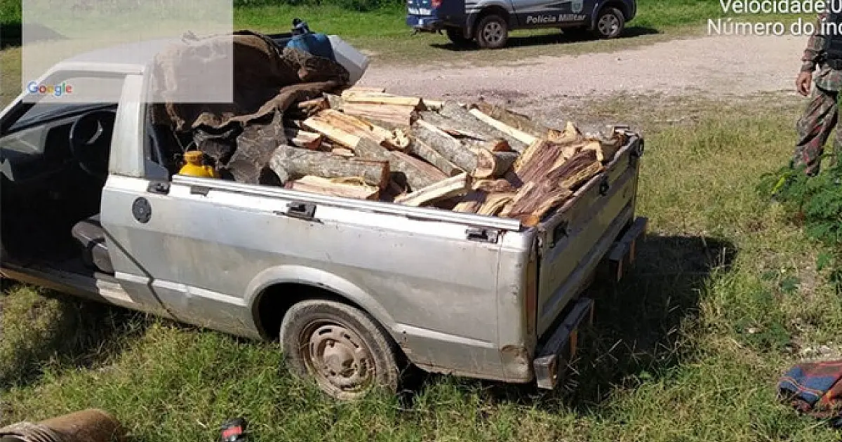 Homem é flagrado por exploração e transporte ilegal de madeira em Corumbá