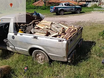 Homem é flagrado por exploração e transporte ilegal de madeira em Corumbá