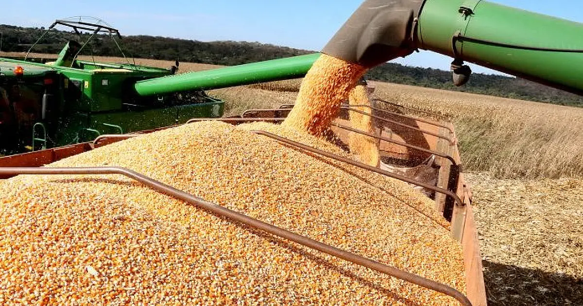 Produtores Rurais de MS têm até 10 de janeiro para declarar área plantada de soja