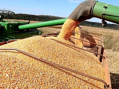 Produtores Rurais de MS têm até 10 de janeiro para declarar área plantada de soja