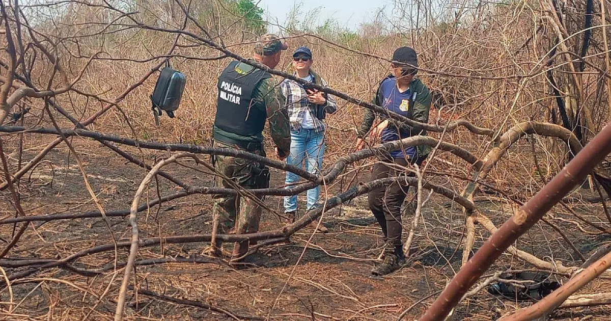 Força-Tarefa realiza perícia em áreas afetadas por incêndios no Pantanal