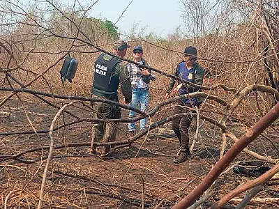 Força-Tarefa realiza perícia em áreas afetadas por incêndios no Pantanal