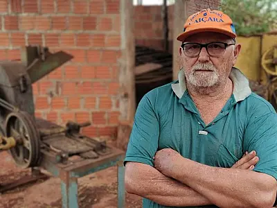 Agroindústria de erva-mate é a "galinha dos ovos de ouro" de agricultor familiar