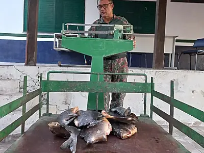 PMA de Corumbá autua pescador profissional em R$ 1 mil por pesca predatória