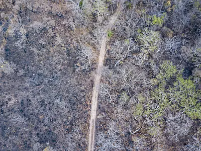 Ibama e UFMS pesquisam soluções para reduzir o risco de grandes incêndios no Pantanal