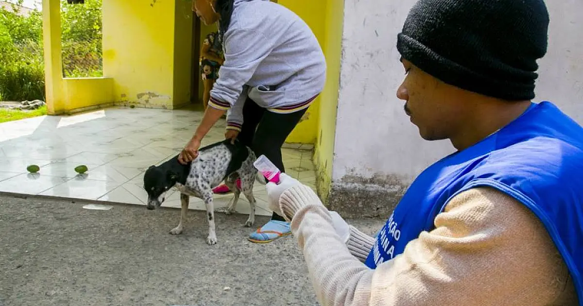 Campanha de vacinação antirrábica de cães e gatos segue até sexta-feira