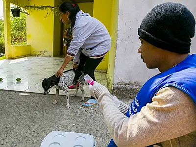 Campanha de vacinação antirrábica de cães e gatos segue até sexta-feira