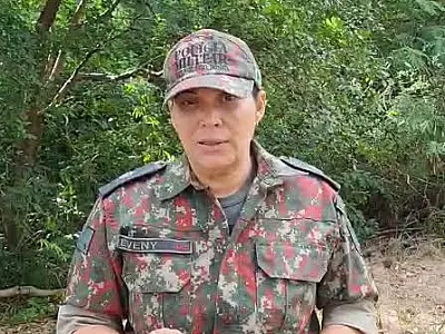 PMA orienta como proceder em atropelamentos de animais silvestres