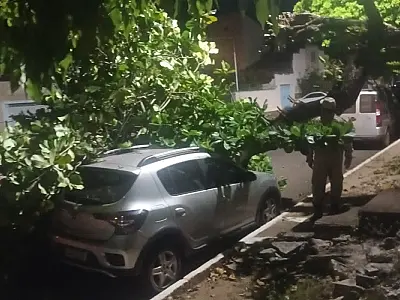 Árvore cai sobre veículo estacionado no centro