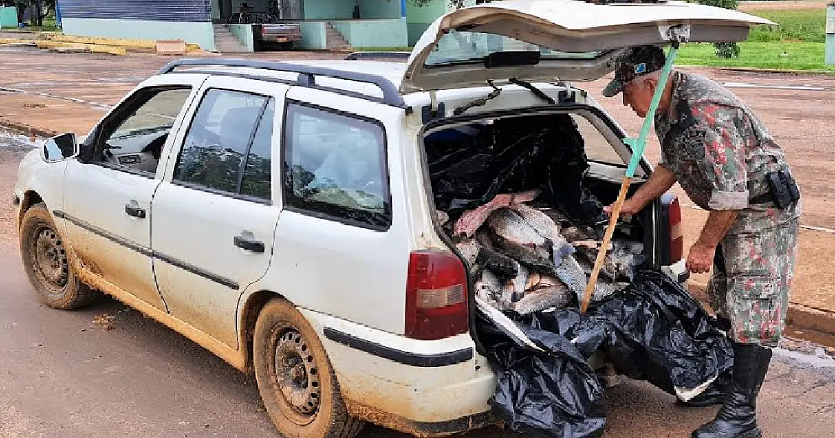 PMA multa 13 pescadores em 72 horas da Operação Pesca Aberta