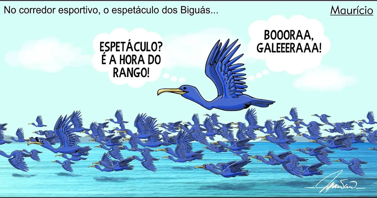 Revoada