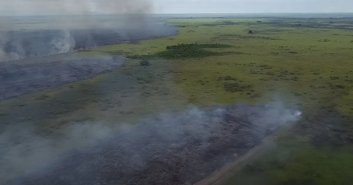 Área incendiada em 6 meses no Pantanal é quase tudo o que queimou em 2023