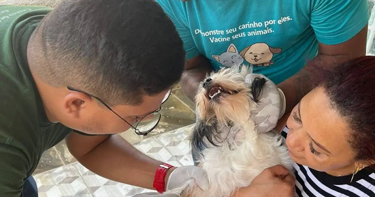 Cães do bairro Nossa Senhora de Fátima começam a receber coleiras de controle da leishmaniose