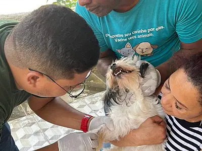 Cães do bairro Nossa Senhora de Fátima começam a receber coleiras de controle da leishmaniose